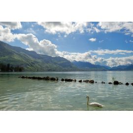 Lacs du Bourget, Aiguebelette, Annecy, Léman, en passant par Chamonix